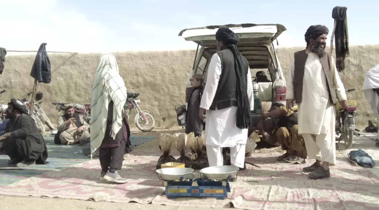 Героин и «мет»: с приходом талибов в Афганистане расцвела наркоторговля