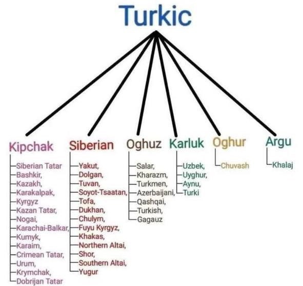 TÜRK DİLİ DALLARI