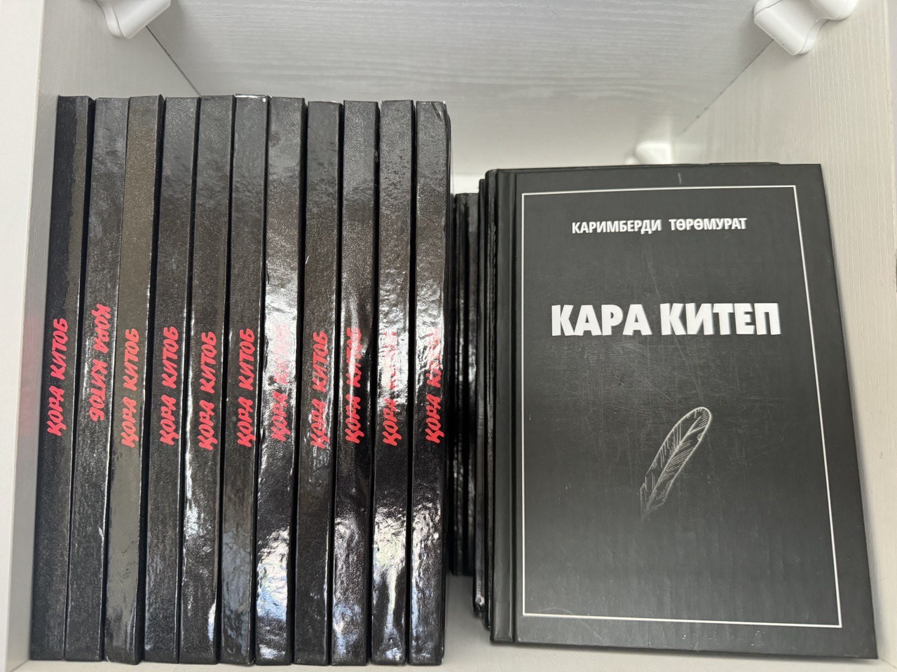 Қирғиз президенти Ўзбек ёзувчиси китобини чиқарди – бунинг ортида қандай сабаблар турибди?